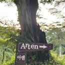 사과밭펜션 | 문경 단체펜션 독채 아텐풀빌라 내돈내산 미온수수영장에 조식까지