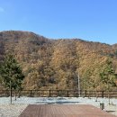 오글오글오토캠핑장 이미지