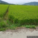 일주공인중개사사무소 이미지