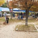 댕댕아 놀자 이미지