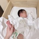 아나이스 산후조리원 | 대구 아나이스 산후조리원 내돈내산 솔직후기