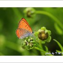 주홍 - 동구 동부로30길 25 | 주홍