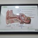 부산제일보청기 이미지