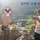 케이엔 케이