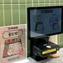 광주밥집 | 광주 서구 풍암동 밥집 옥대패 쭈꾸미삼겹 한판 가족모임 식당으로 추천