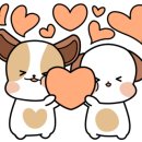 신데렐라스튜디오 이미지