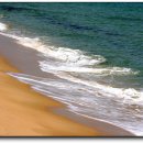 바다 그리고 이미지