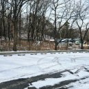 봉제산 강서다목적체육관 이미지