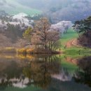 그린바다 이미지