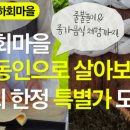 연화침구