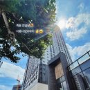 신서공인중개사사무소 이미지