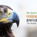 충북 야생동물센터 이미지