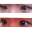 룩(LOOK)모텔 | 대구 달서구 속눈썹펌 두류동 속눈썹펌 룩앳더뷰티