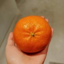 미던 이미지