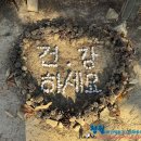 울산역사 다시보기 이미지