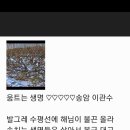 움트 - 해운대구 | 움트
