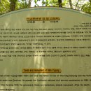 민유중 선생묘 이미지