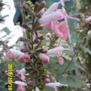 선산대로10-10 이미지