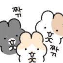 마시쭈칼국수 이미지