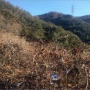 대현리경로당 이미지