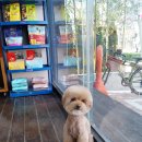 민 동물병원(동물미용) 이미지