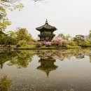 엄마의아침 이미지