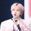 니피 이미지