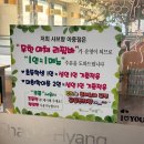 샤브향전주아중점 | 전주 우아동 2가 맛집 샤브향 전주 아중점 방문 후기