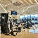 머슬뱅크짐 | [공지] [머슬메모리짐 수원점]3+1개월 혜택 잡으세요🍉(8월한정이벤트/무료개방 혜택까지)