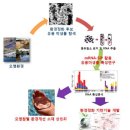 국립낙동강생물자원관 나프탈렌 분해하는 미생물 원리 최초로 밝혀냈다 이미지