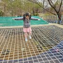 (주)김승일아동발달센터 이미지