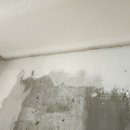 고봉로 351-17 이미지