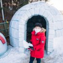 이월드코코몽눈빛마을 네이버블로그