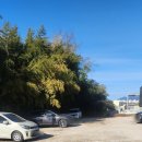 칠봉이네 | 칠봉이짬뽕 산동교 리뷰 짬뽕 맛집 방문 후기