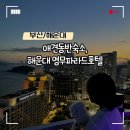 2022-08-0003 | [부산/해운대] 애견동반숙소, 해운대 영무파라드호텔