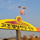 [가을축제] 2012 제8회 파주개성인삼축제 이미지