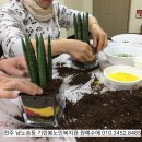 기린봉노인복지관 이미지