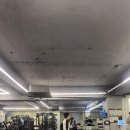 BP30(바디프로젝트30) 이미지