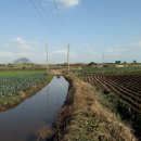 하모리-5 이미지