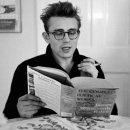 타르트옵티컬 이미지