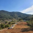 남구마을 이미지