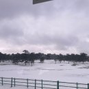 봉곡동393 | 제주대학교 겨울 계절수업 후기 - 4 (에이바우트, 동백포레스트, 동백꽃개화, 레몬뮤지엄, 뚜벅이)