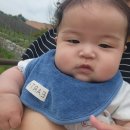 광주근교 아기랑 전주 동물원, 놀이공원 방문후기/수유실있음
