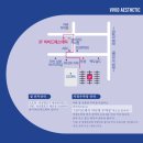 더영에스테틱 이미지