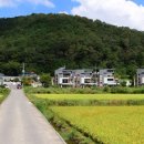 나비채 하우스 이미지