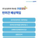 위풍댕댕 이미지