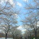 희수농장 이미지