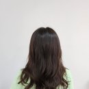 살롱드아리아 네이버블로그