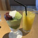 시우로2 이미지