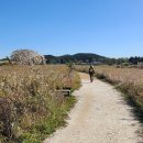 남동체육관 이미지